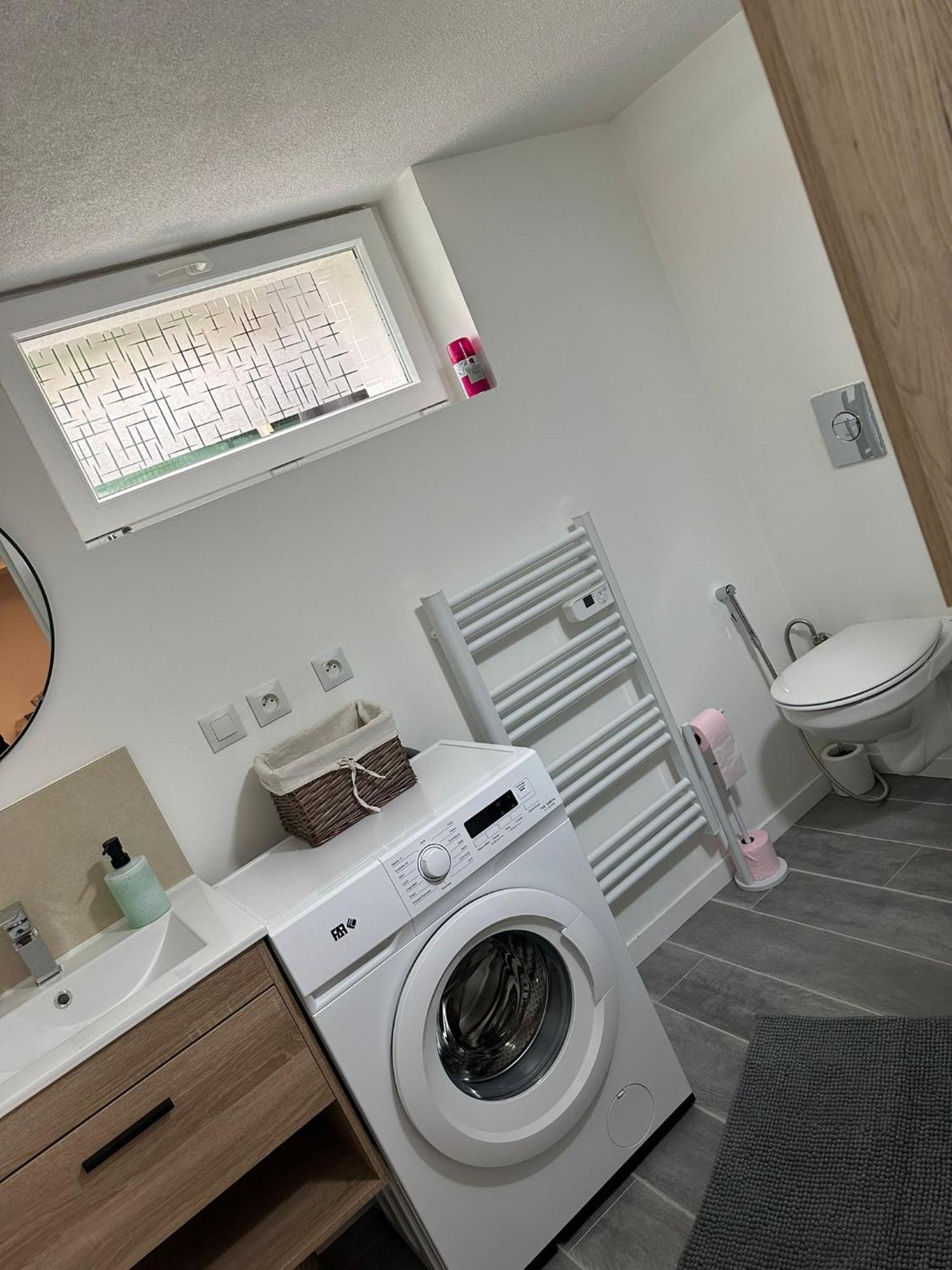 Les Mirabelles Apartment Ensisheim Bagian luar foto