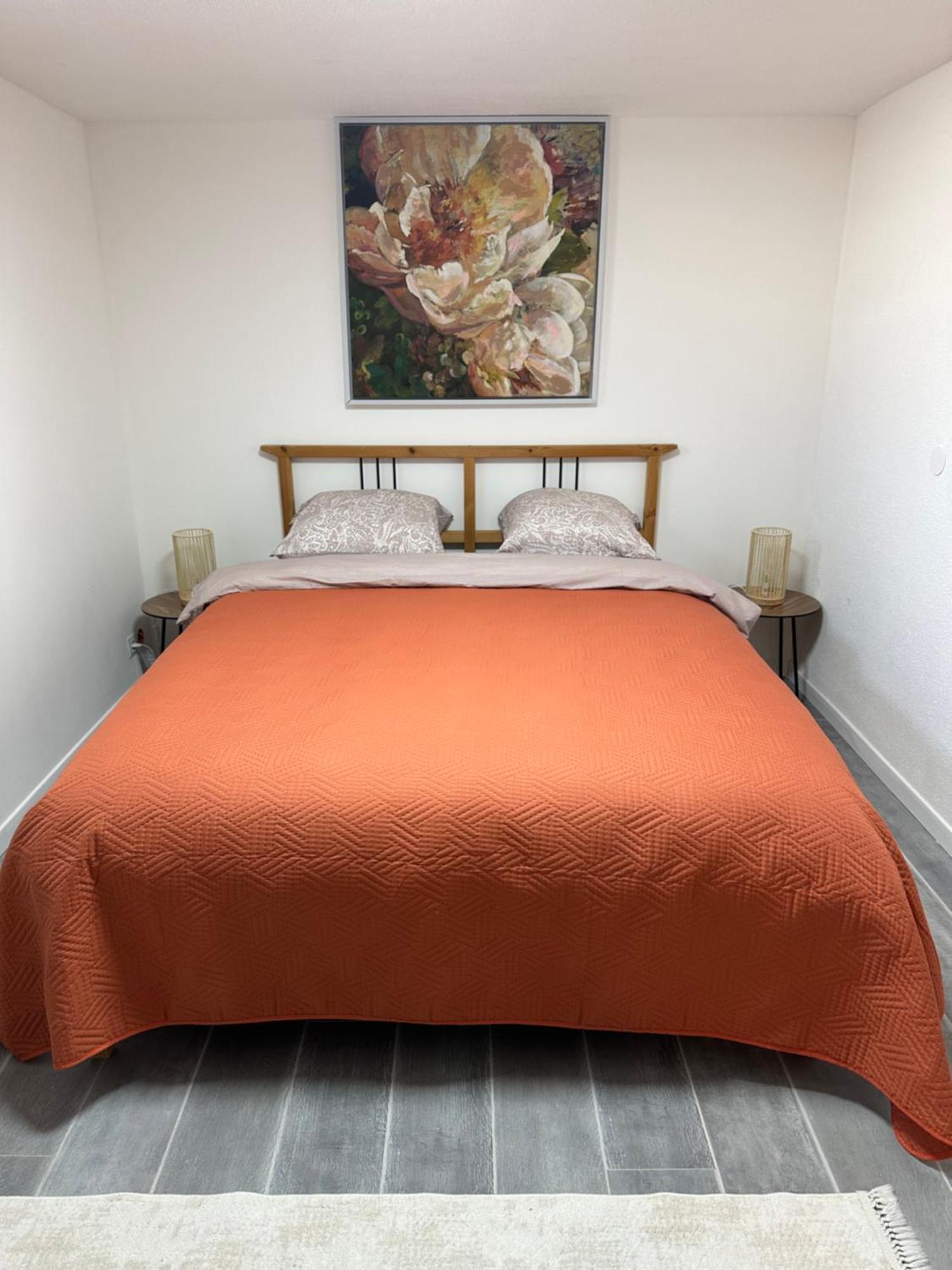 Les Mirabelles Apartment Ensisheim Bagian luar foto